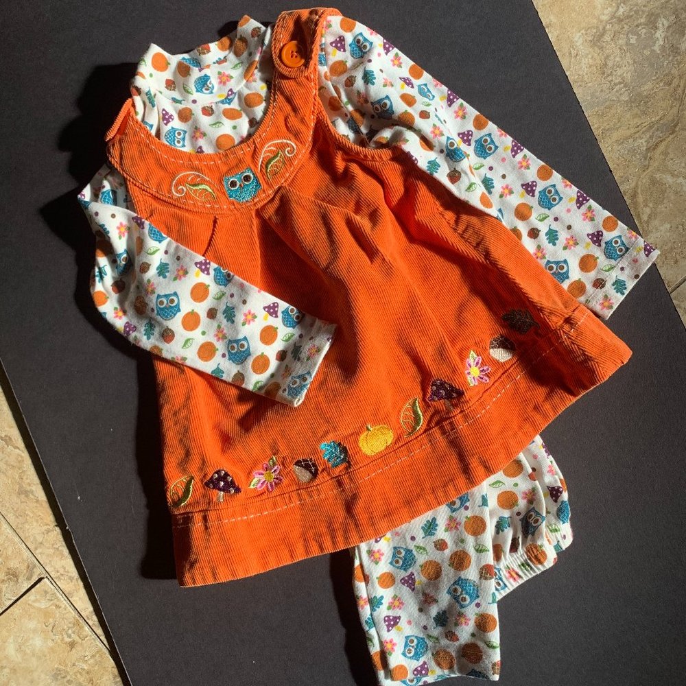 Fall 2T Girls Jumper Set